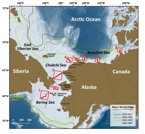 Map of eight DBO study areas throughout the Bering, Chukchi and Beaufort Seas. (Courtesy: NOAA PMEL)
